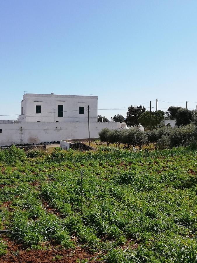 Masseria Ricci ファザーノ エクステリア 写真
