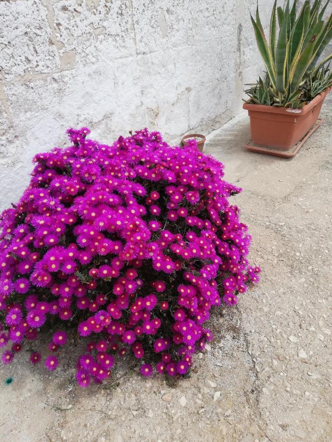 Masseria Ricci ファザーノ エクステリア 写真
