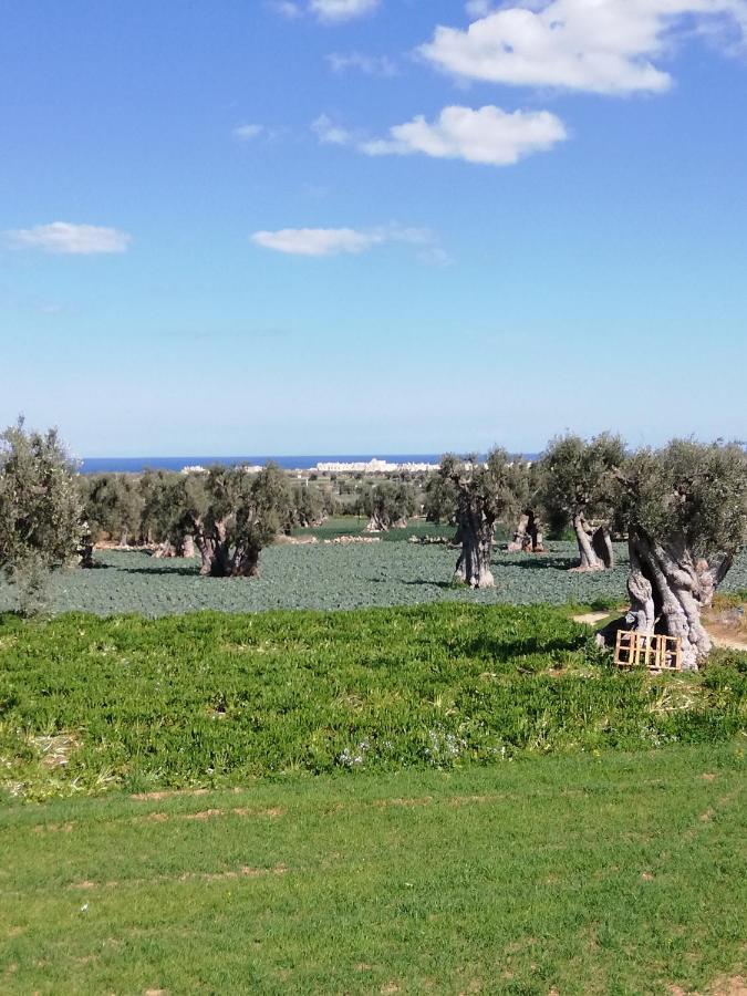 Masseria Ricci ファザーノ エクステリア 写真