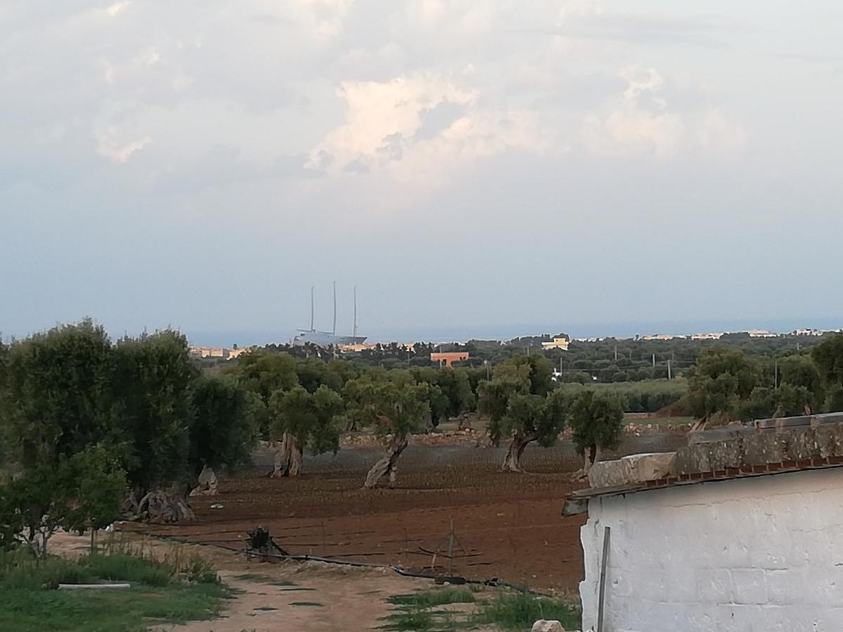 Masseria Ricci ファザーノ エクステリア 写真