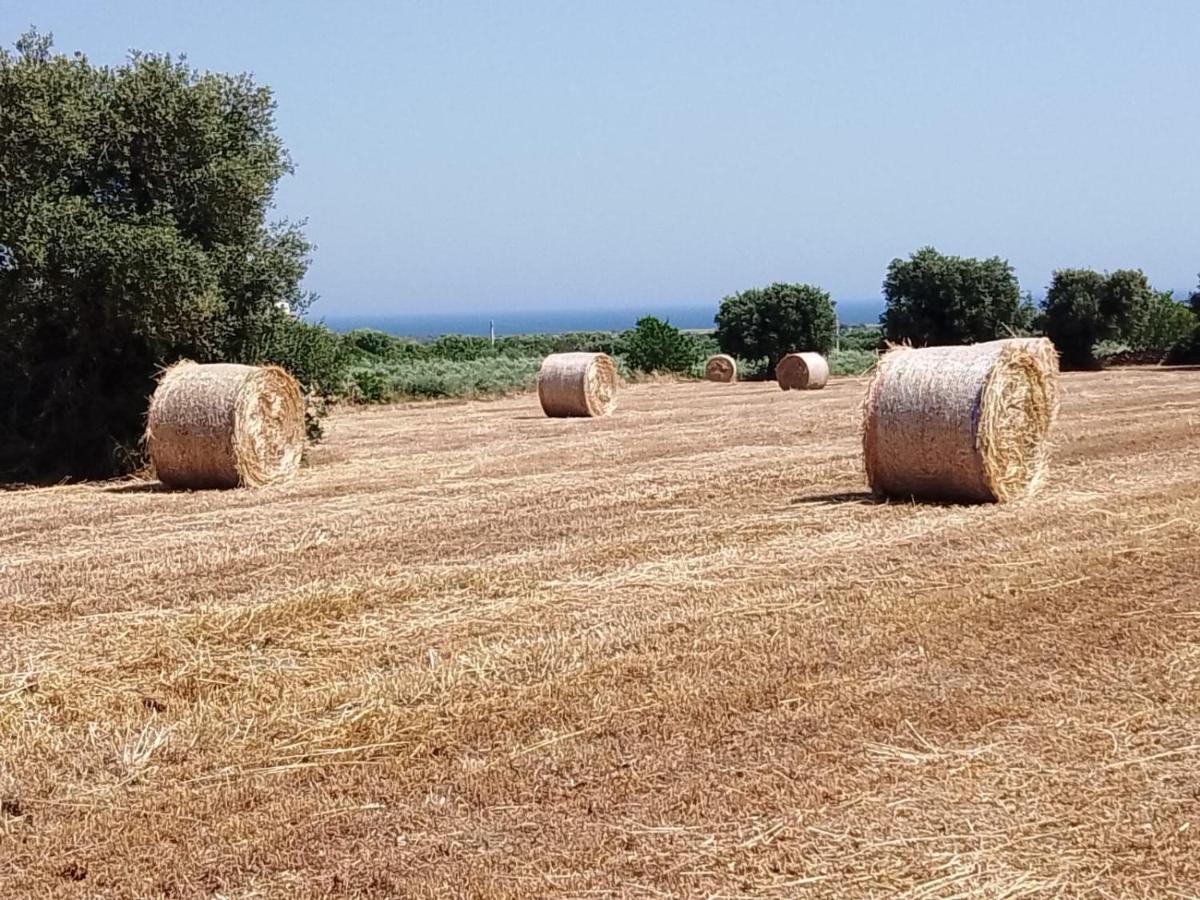 Masseria Ricci ファザーノ エクステリア 写真