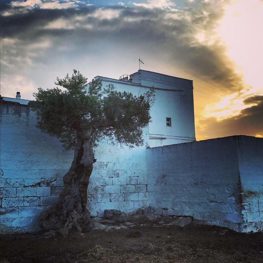 Masseria Ricci ファザーノ エクステリア 写真