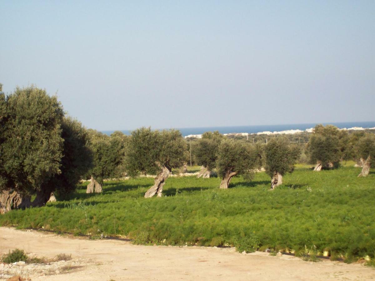 Masseria Ricci ファザーノ エクステリア 写真